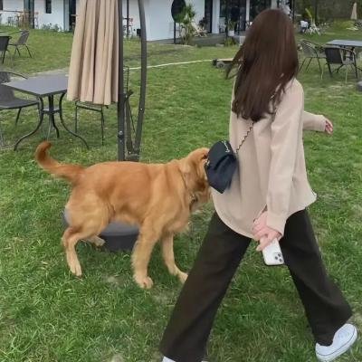 一个叫阿宝的男孩